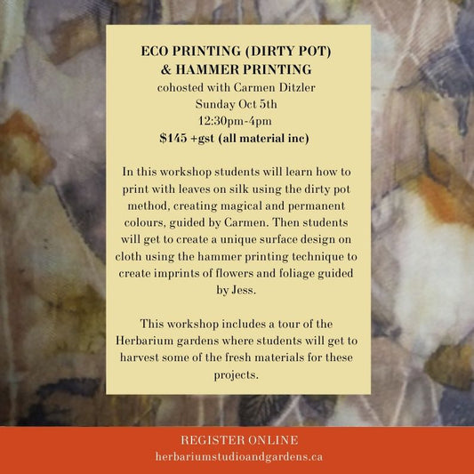 Eco Printing Collab with Carmen Ditzler