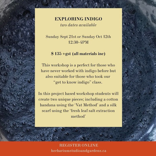 Exploring Indigo