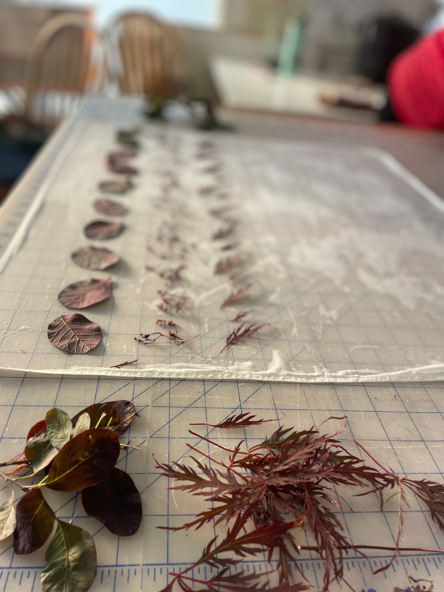 Eco Printing Collab with Lorelei Textiles