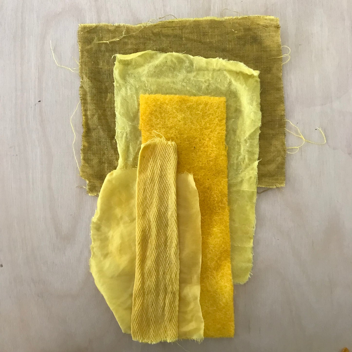 4 Week: Intro to Botanical Dyes