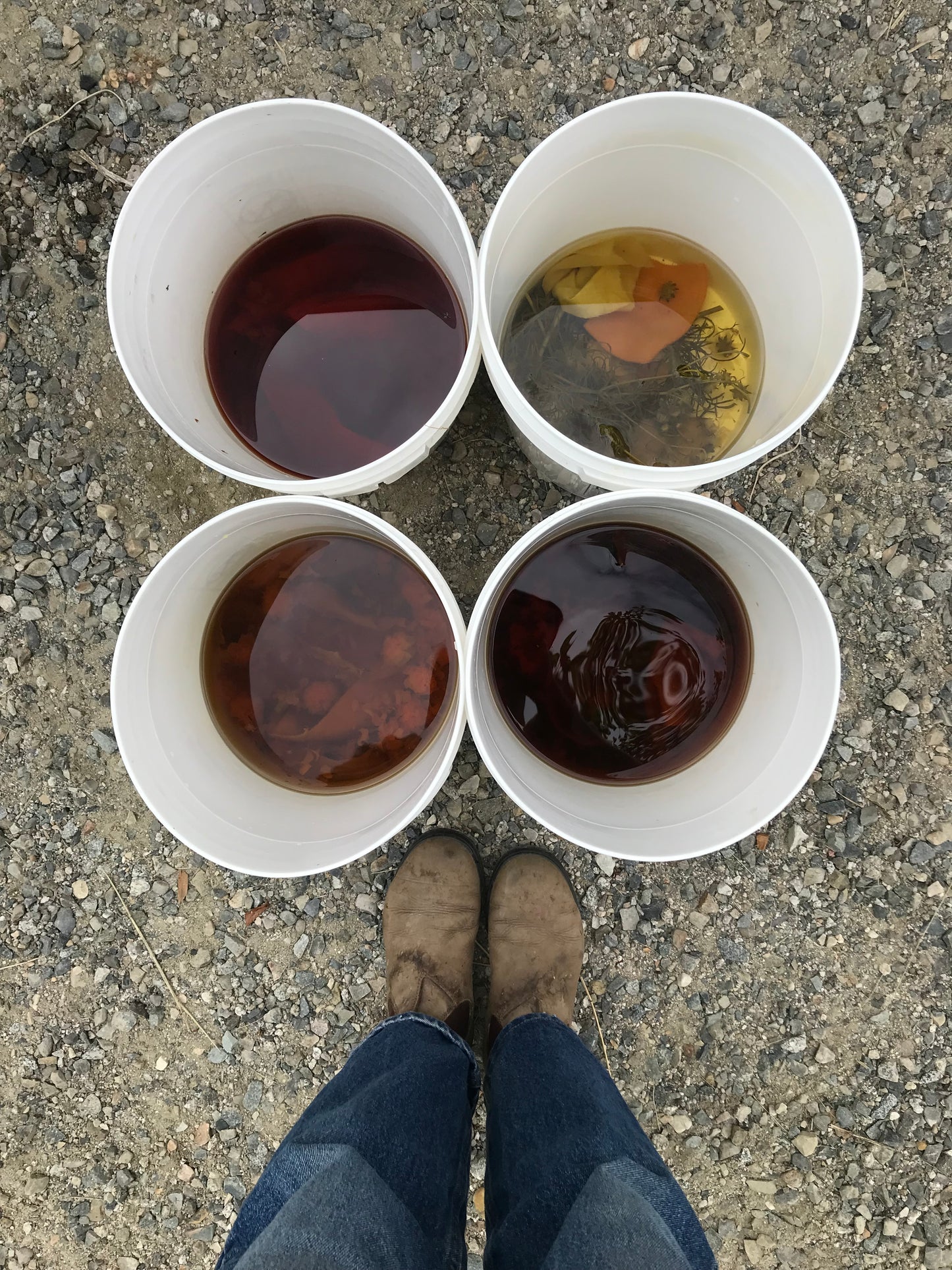 4 Week: Intro to Botanical Dyes