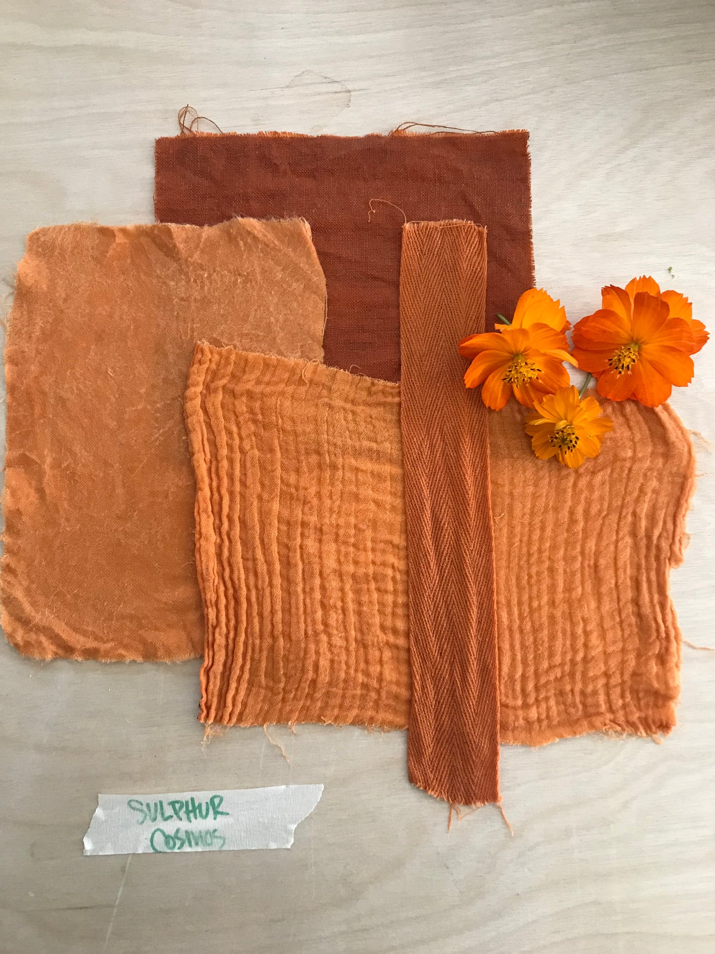 4 Week: Intro to Botanical Dyes