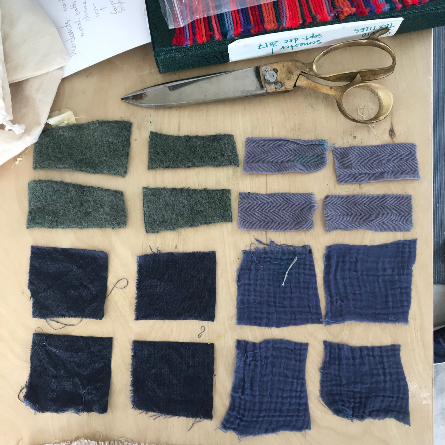 4 Week: Intro to Botanical Dyes