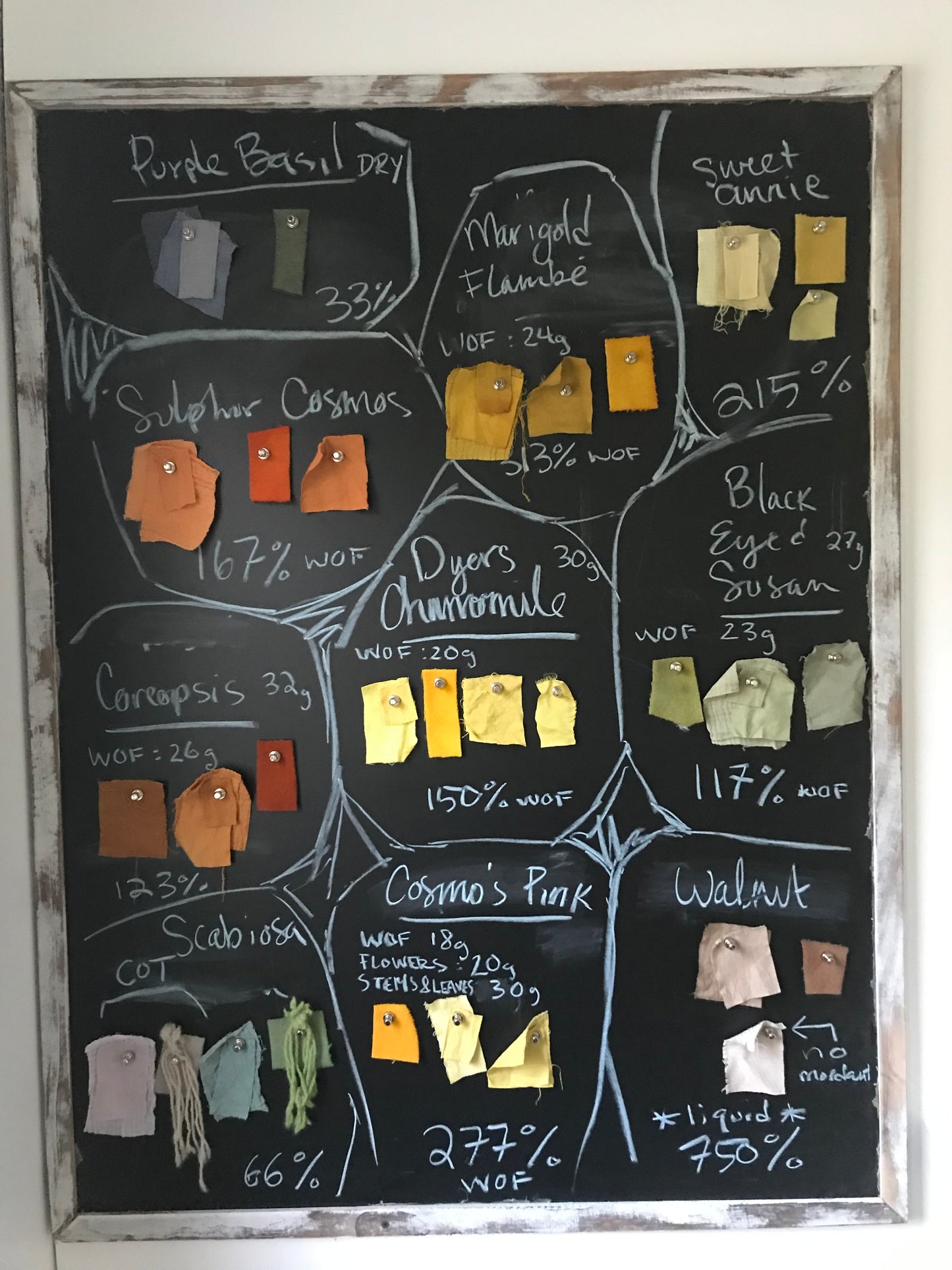 4 Week: Intro to Botanical Dyes