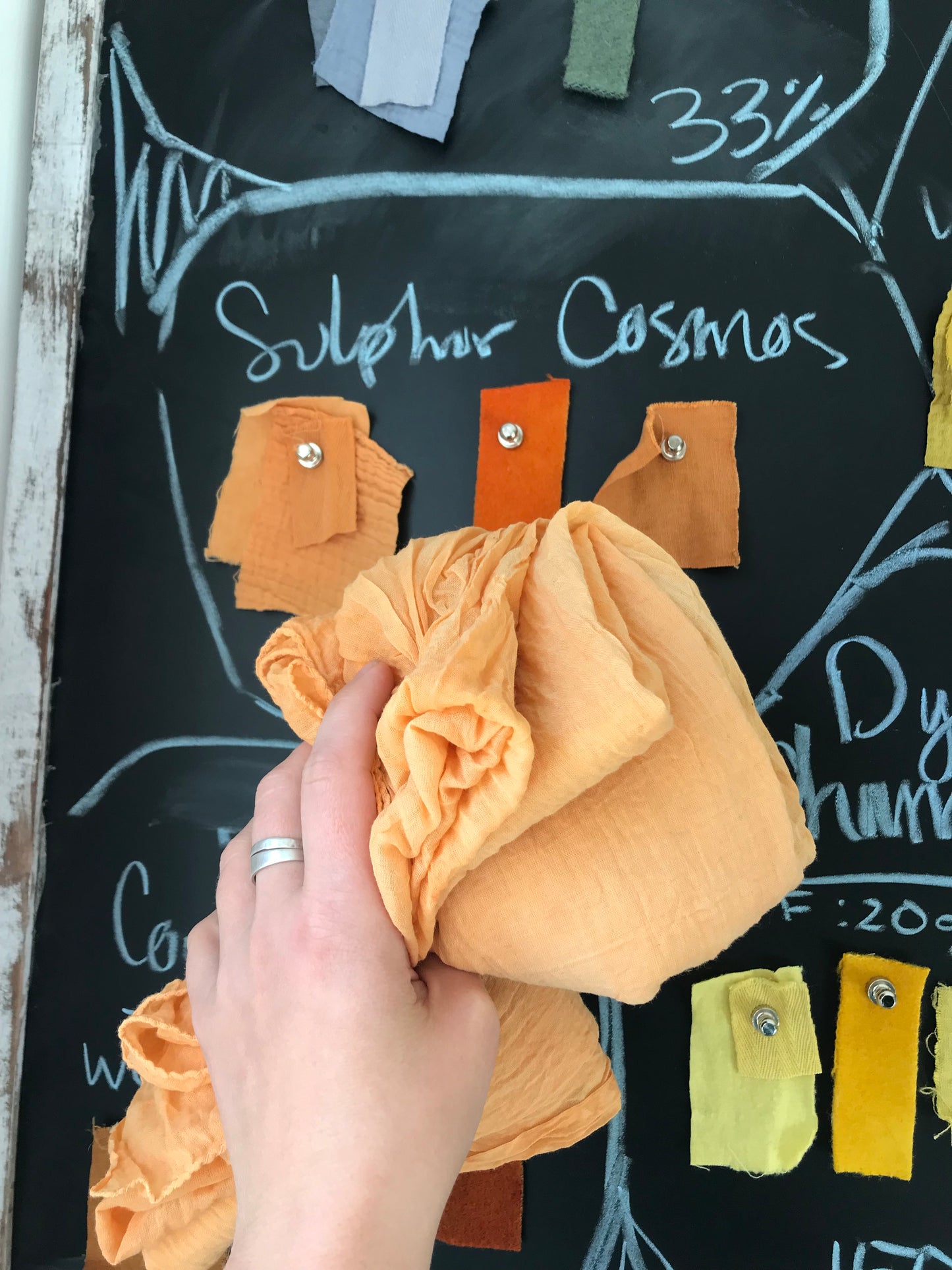 4 Week: Intro to Botanical Dyes