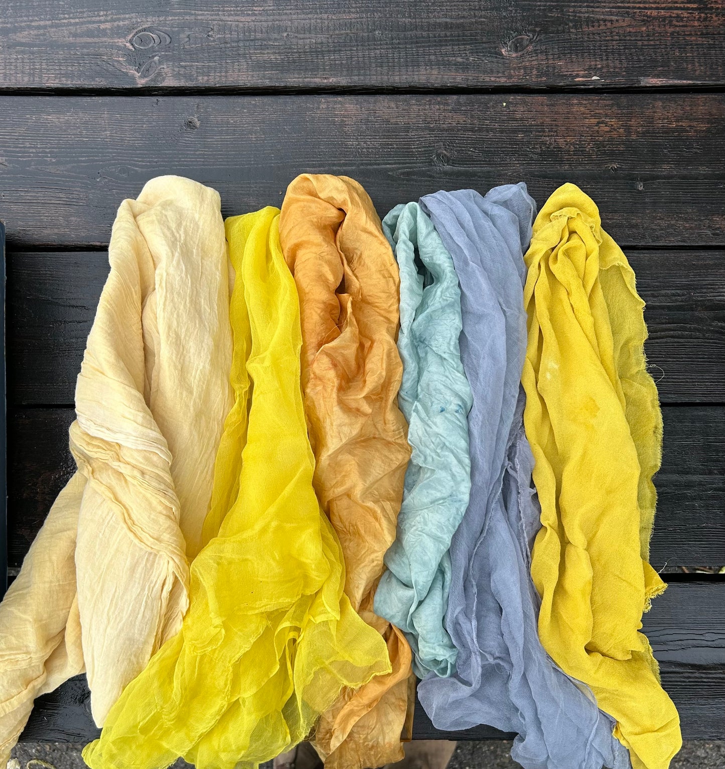 4 Week: Intro to Botanical Dyes