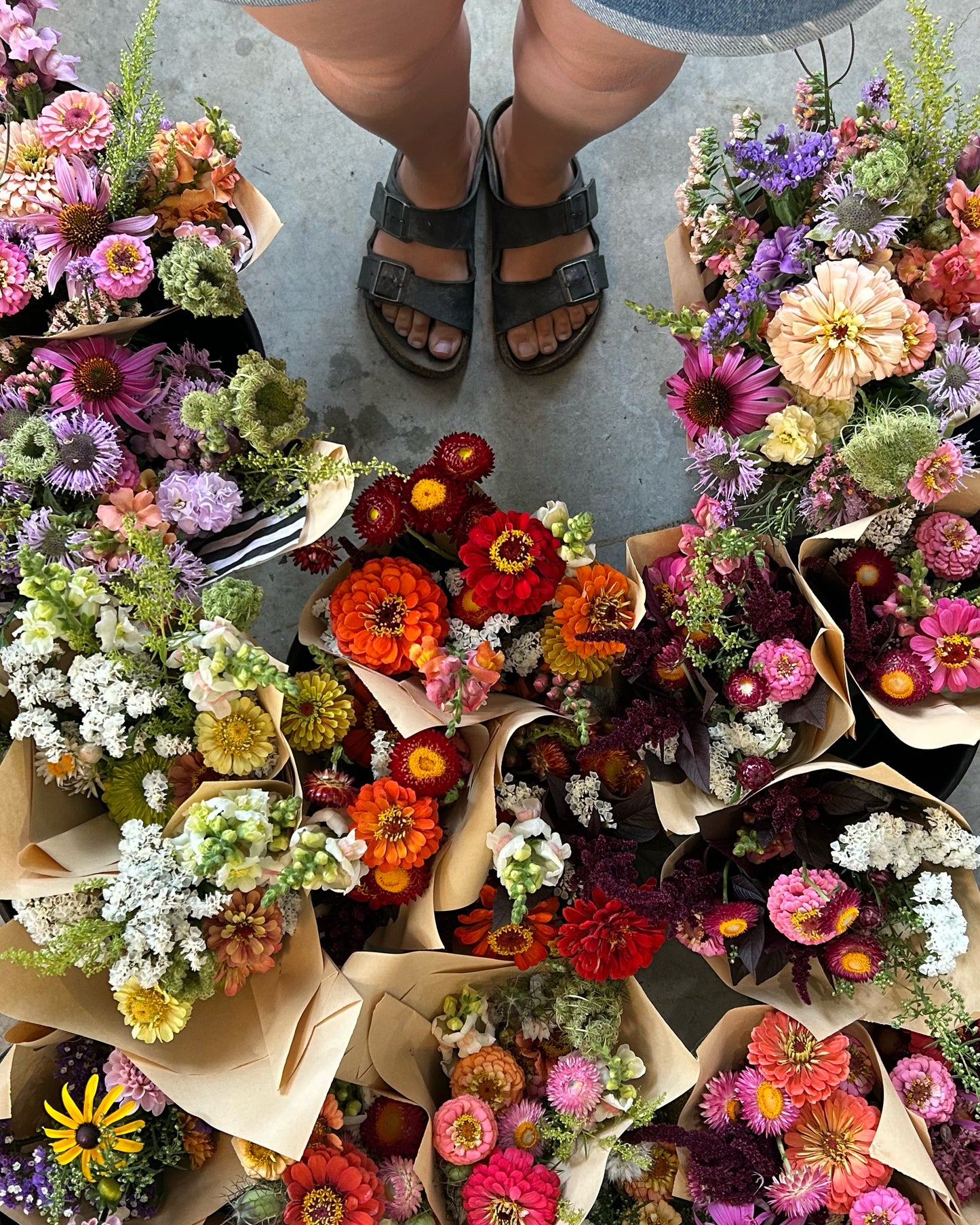 All Season Bouquet Subscriptions 2026