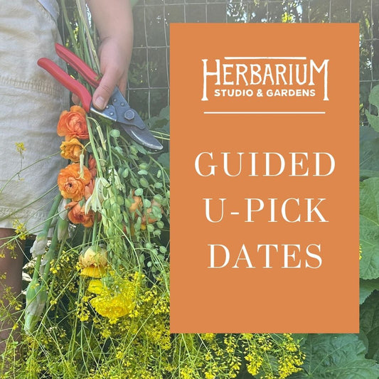 Guided U-Pick