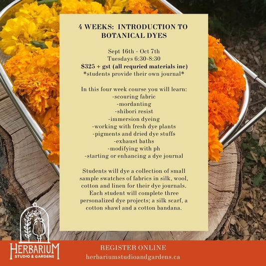 4 Week: Intro to Botanical Dyes
