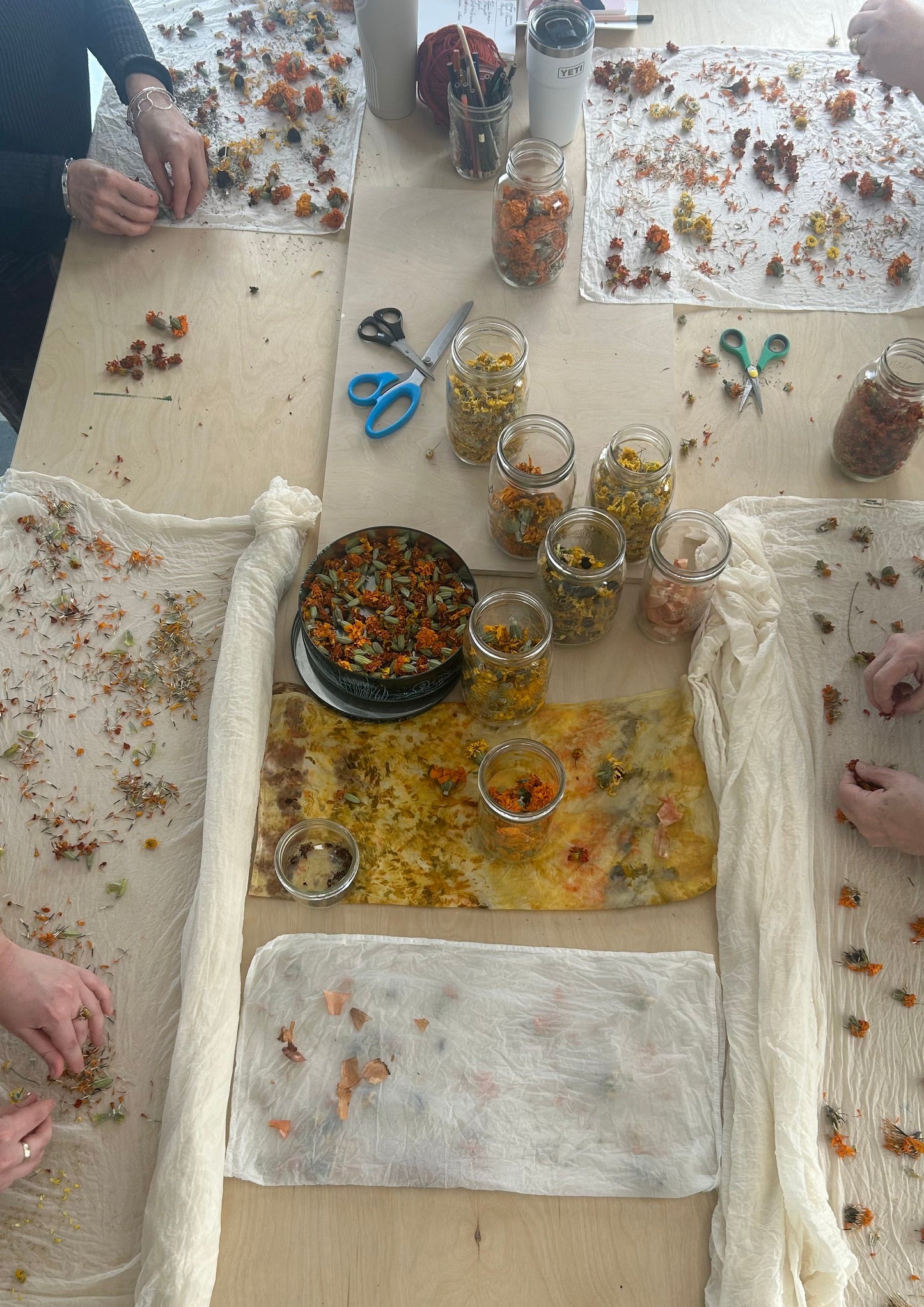 Botanical Bandana Dye Workshop