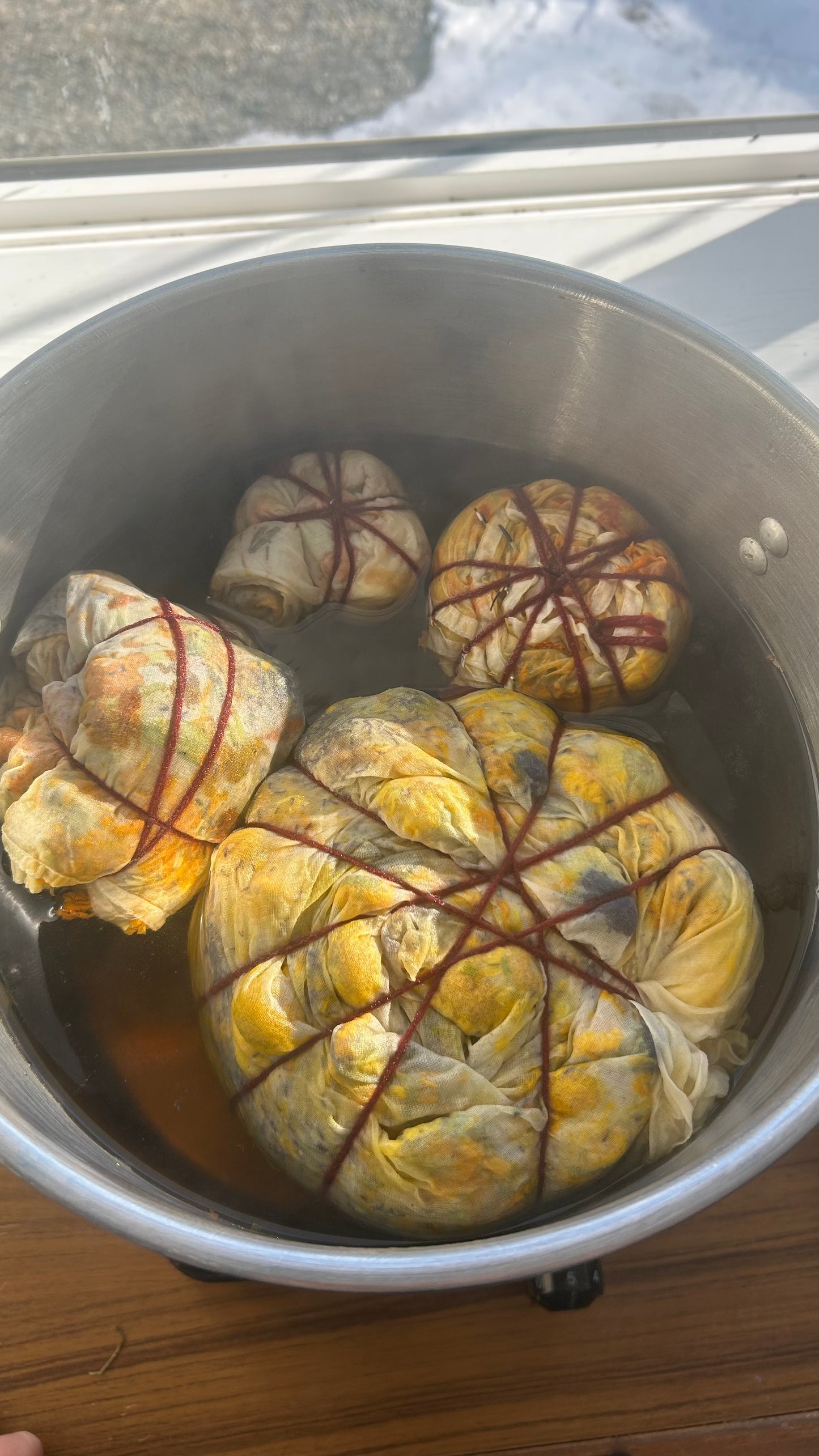 Botanical Bandana Dye Workshop