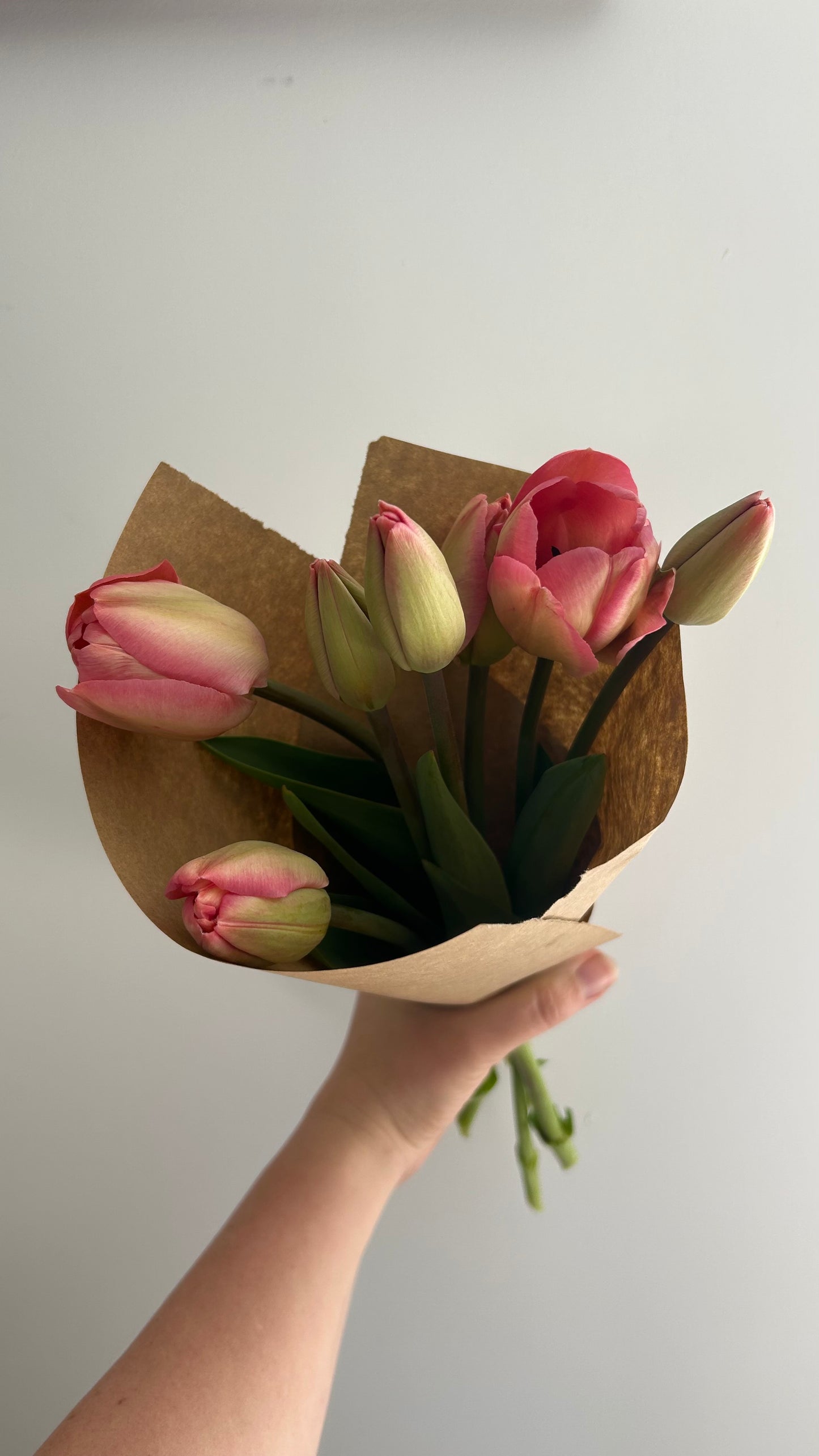 Tulip Bouquets and Bunches