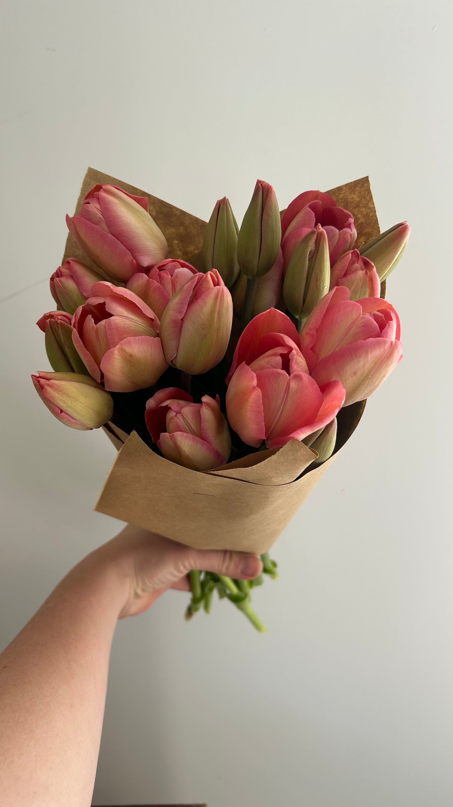 Tulip Bouquets and Bunches