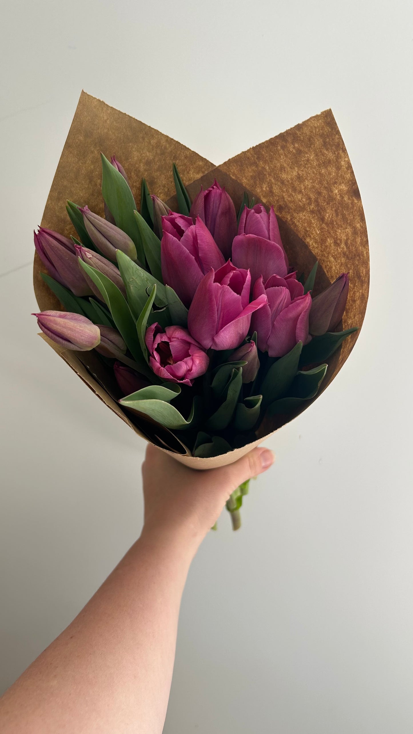 Tulip Bouquets and Bunches