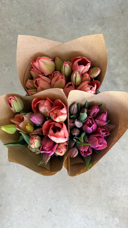 Tulip Bouquets and Bunches