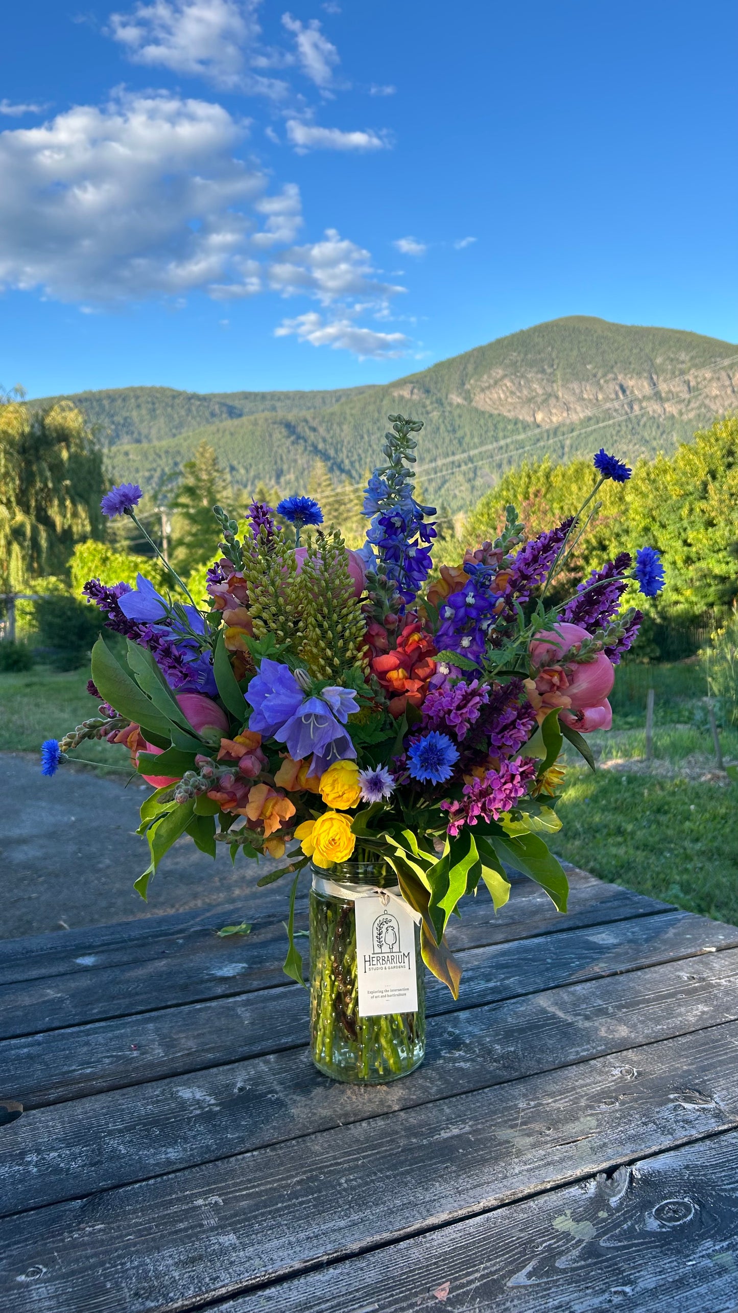 Gardens Choice Vase Arrangement