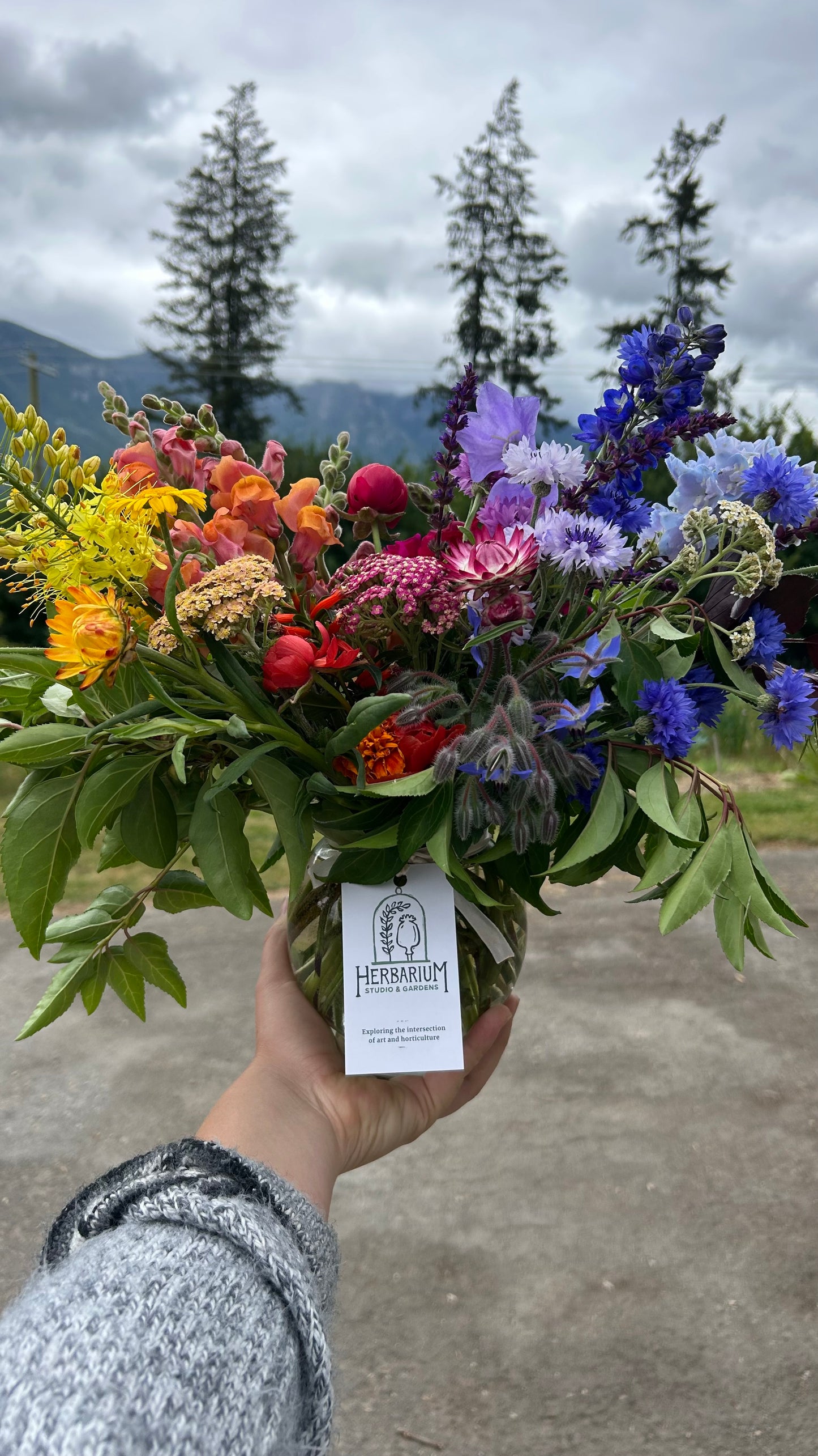 Gardens Choice Vase Arrangement