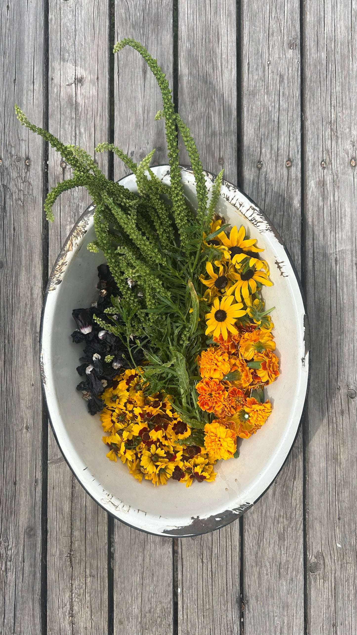 Botanical Dyeing : Wardrobe Revival