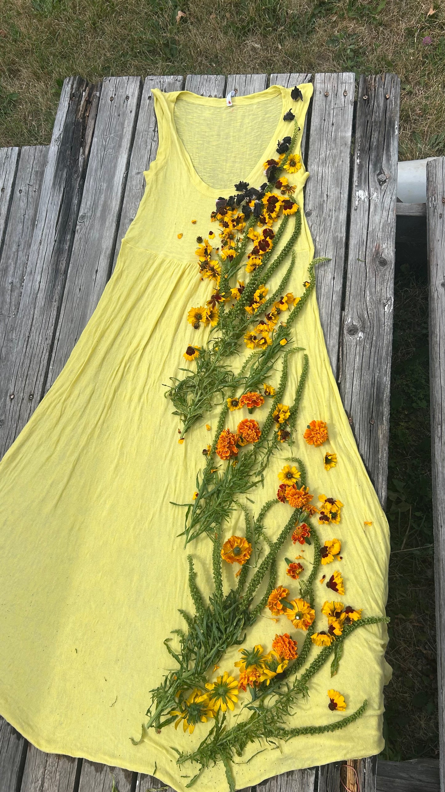 Botanical Dyeing : Wardrobe Revival
