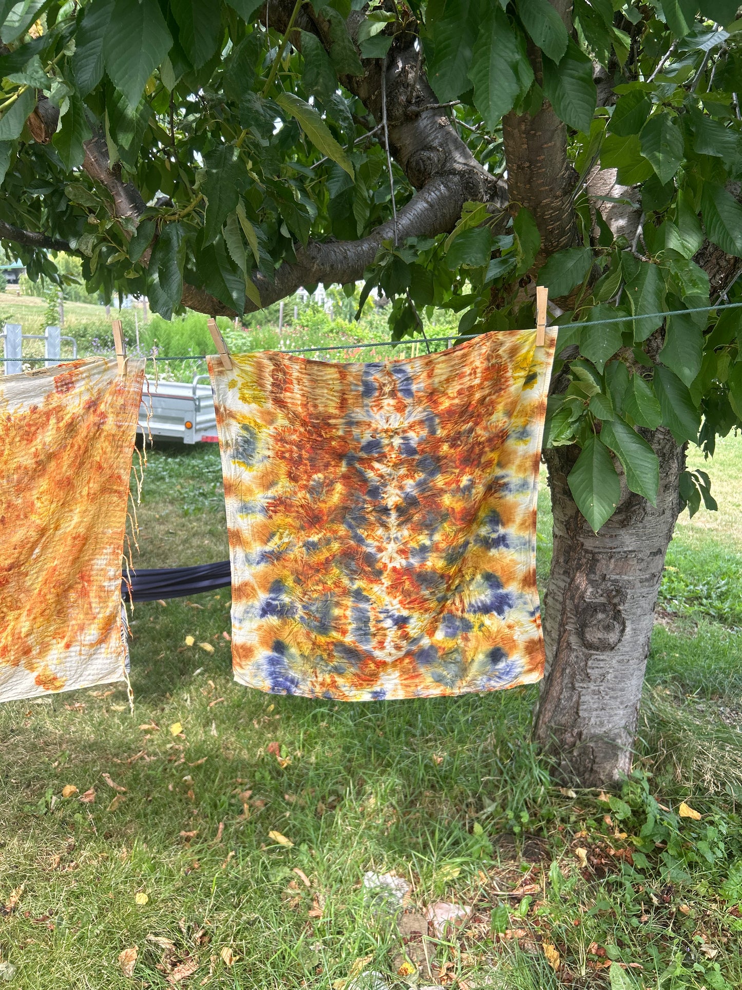 Botanical Dyeing : Wardrobe Revival