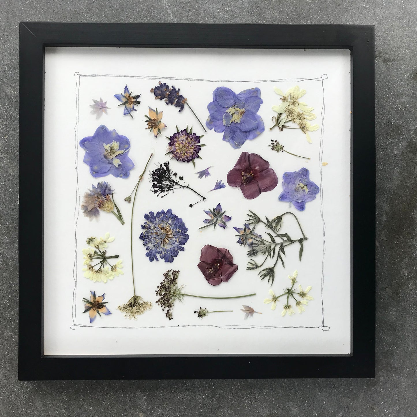 Pressed Flowers in Blue