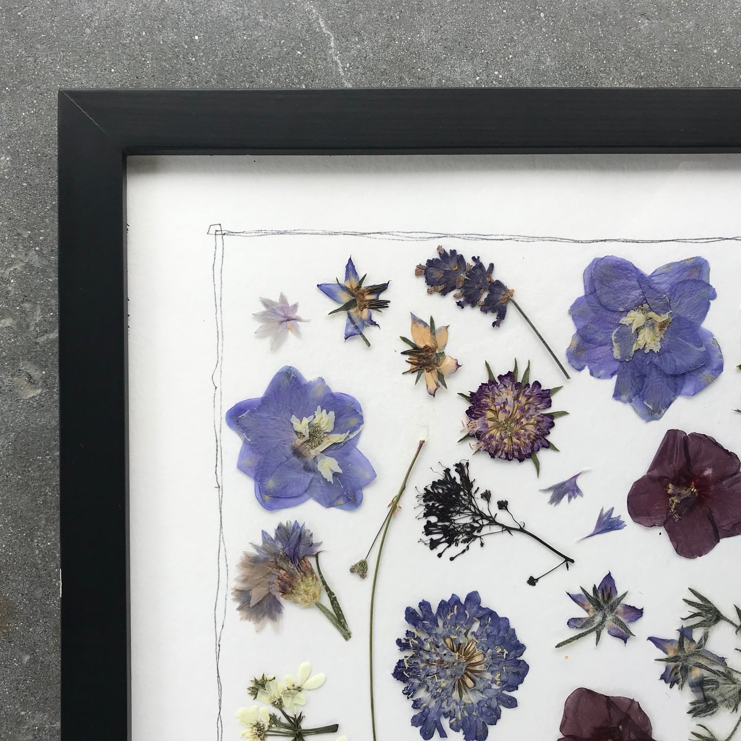 Pressed Flowers in Blue