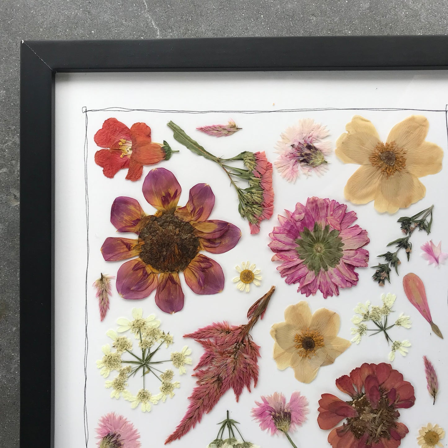 Pressed Flowers in Pink