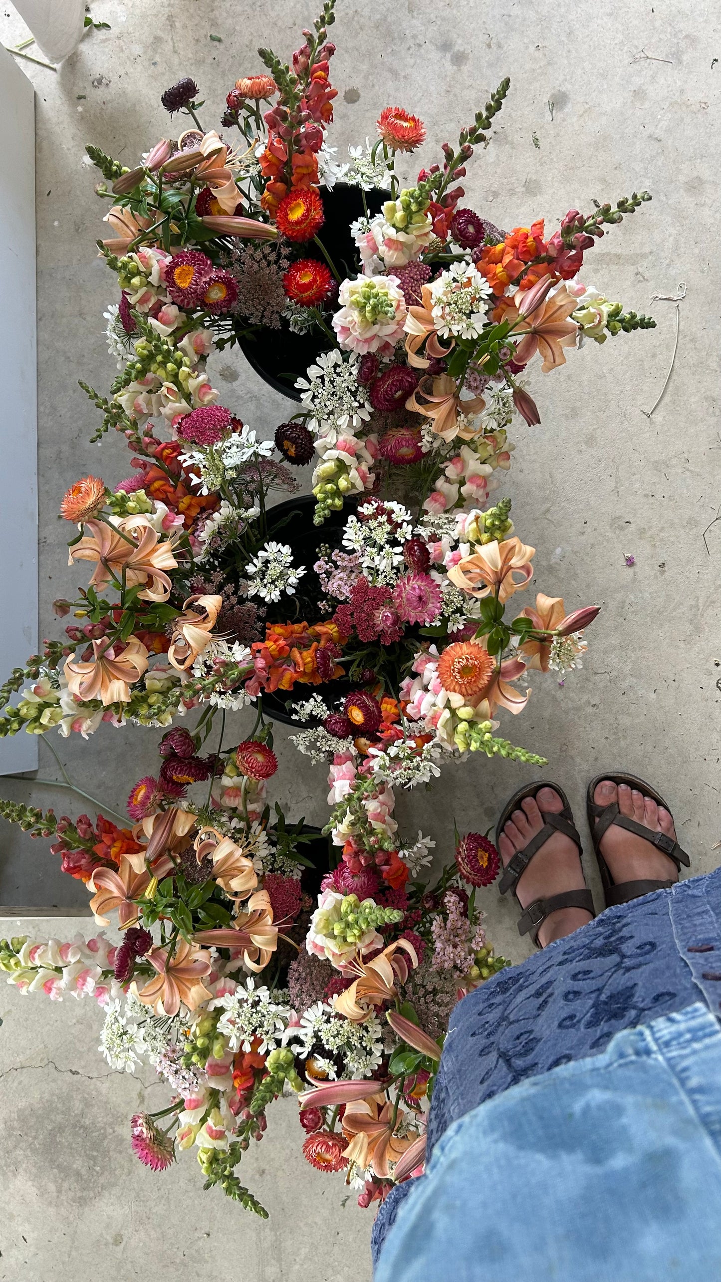 Garden Club Member Special