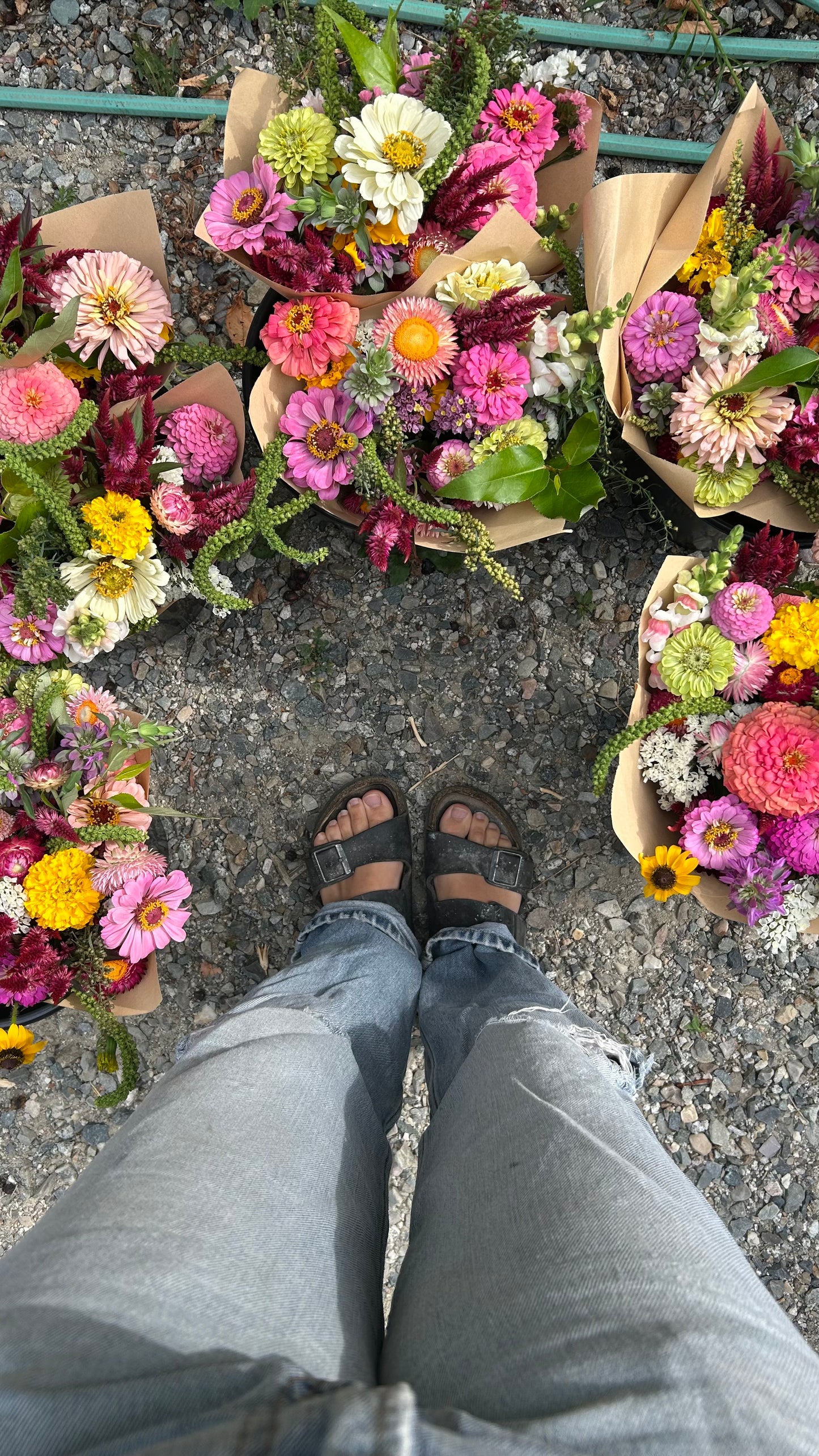 All Season Bouquet Subscriptions 2026