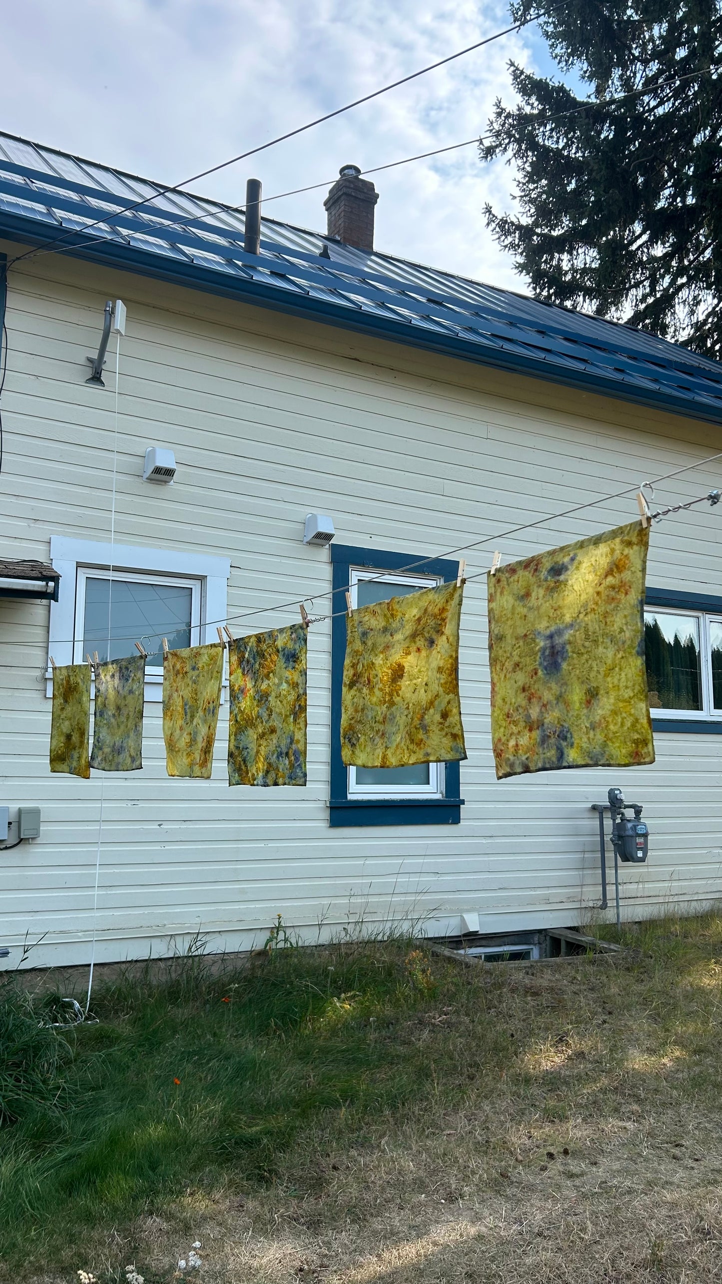 Botanical Bandana Dye Workshop