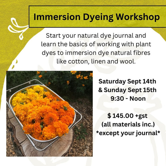 Immersion Dyeing Workshop