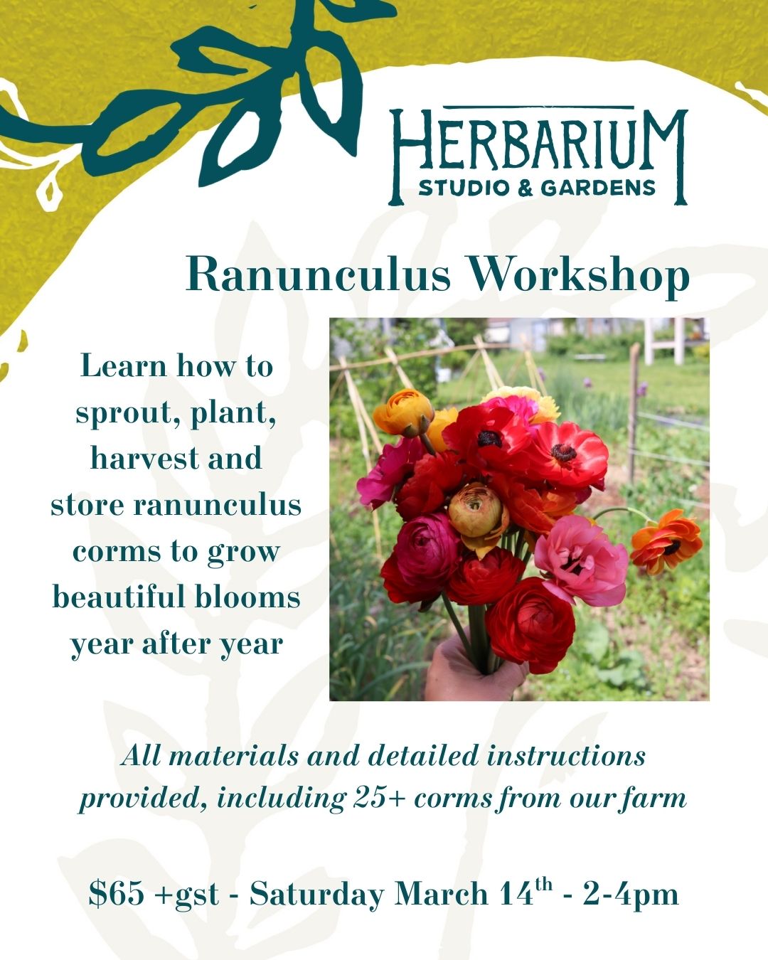 Ranunculus Workshop